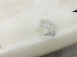 �I�[�o�[�z�[�� �G�|�L�V short 1_7